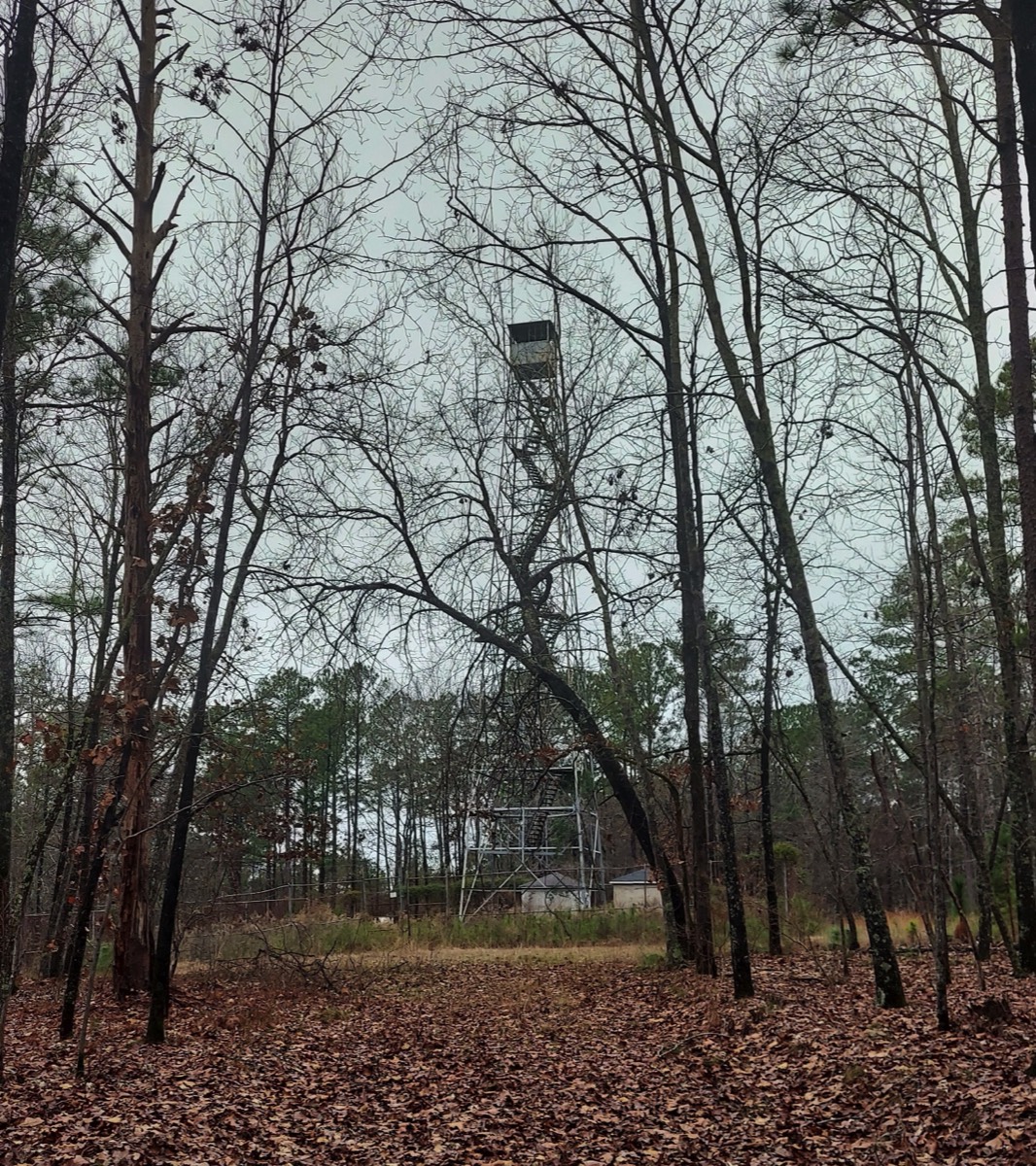 Stacks Image 65